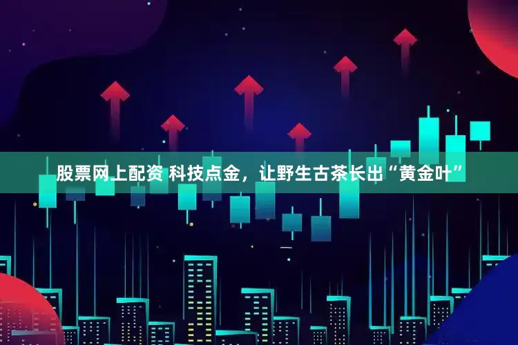 股票网上配资 科技点金，让野生古茶长出“黄金叶”