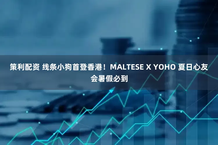 策利配资 线条小狗首登香港！MALTESE X YOHO 夏日心友会暑假必到