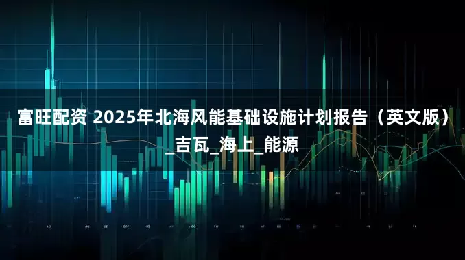 富旺配资 2025年北海风能基础设施计划报告（英文版）_吉瓦_海上_能源