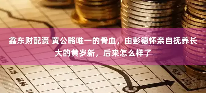 鑫东财配资 黄公略唯一的骨血，由彭德怀亲自抚养长大的黄岁新，后来怎么样了